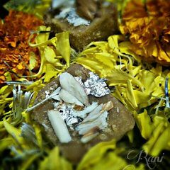 A picture of Mohanthal.