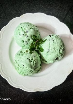 મીન્ટ ચોકો ચિપ્સ આઈસ્ક્રીમ (Mint Choco Chips Icecream Recipe In Gujarati) રેસીપી મુખ્ય ફોટો