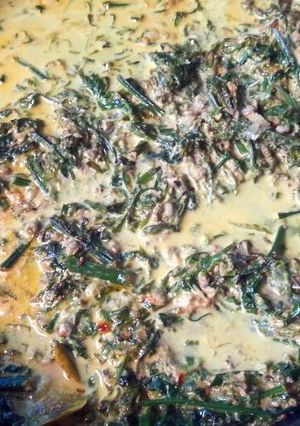 Foto resep Gulai Pakis Pensi