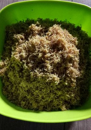 Foto resep Serundeng simple