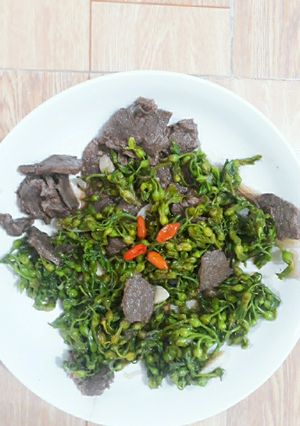 Hình của món Bò xào hoa thiên lý.