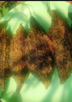 करेला मसाला भरवा (Karela masala bharwan recipe in hindi) रेसिपी मुख्य फोटो