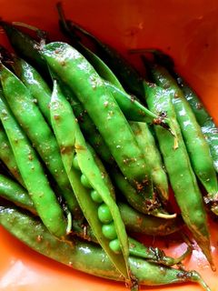 मटार शेंगा फ्राय (matar shenga fry recipe in marathi) रेसिपी चे मुख्य फोटो