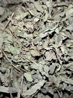 عکسی از دستور نعناع خشک شده
