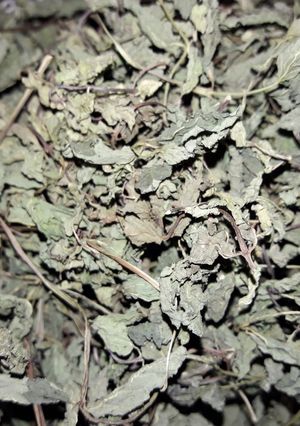 عکسی از دستور نعناع خشک شده