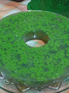 Foto resep Puding Lumut 🍮🍮