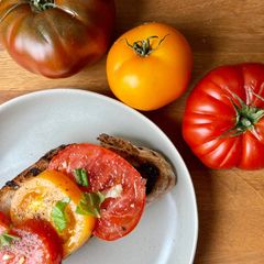 A picture of Tomatoes on toast 🍅.