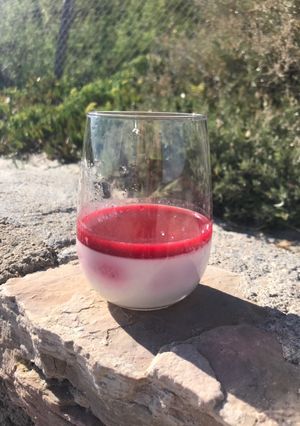 Une photo de Panna Cotta vanille framboise et son coulis