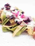 Paglia e fieno con radicchio tardivo e fonduta di fontina
