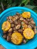 Keong macan Saus Tiram