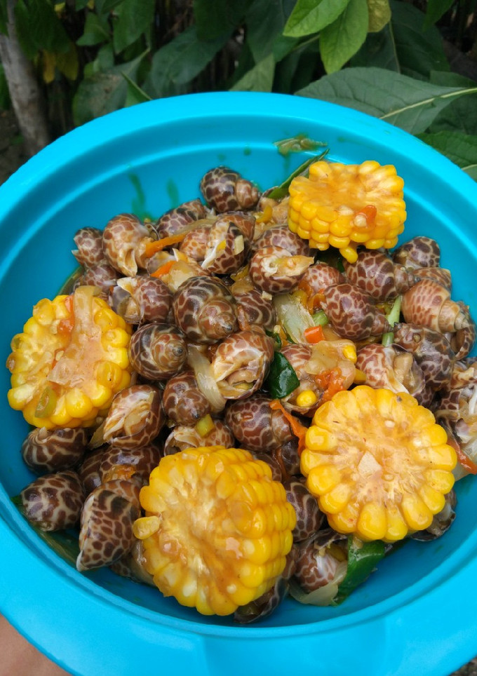 Foto resep Keong macan Saus Tiram