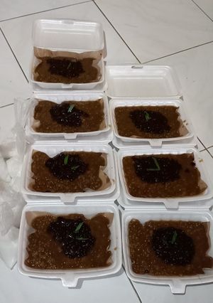 Foto resep Kacang Ijo Ketan Hitam