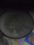 Sop daging kambing