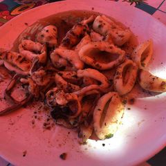 Calamari of squid A picture of Calamari of squid.