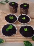 Cake Plant dari cake Bantat
