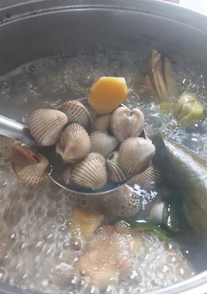 Foto resep Kerang dara rebus