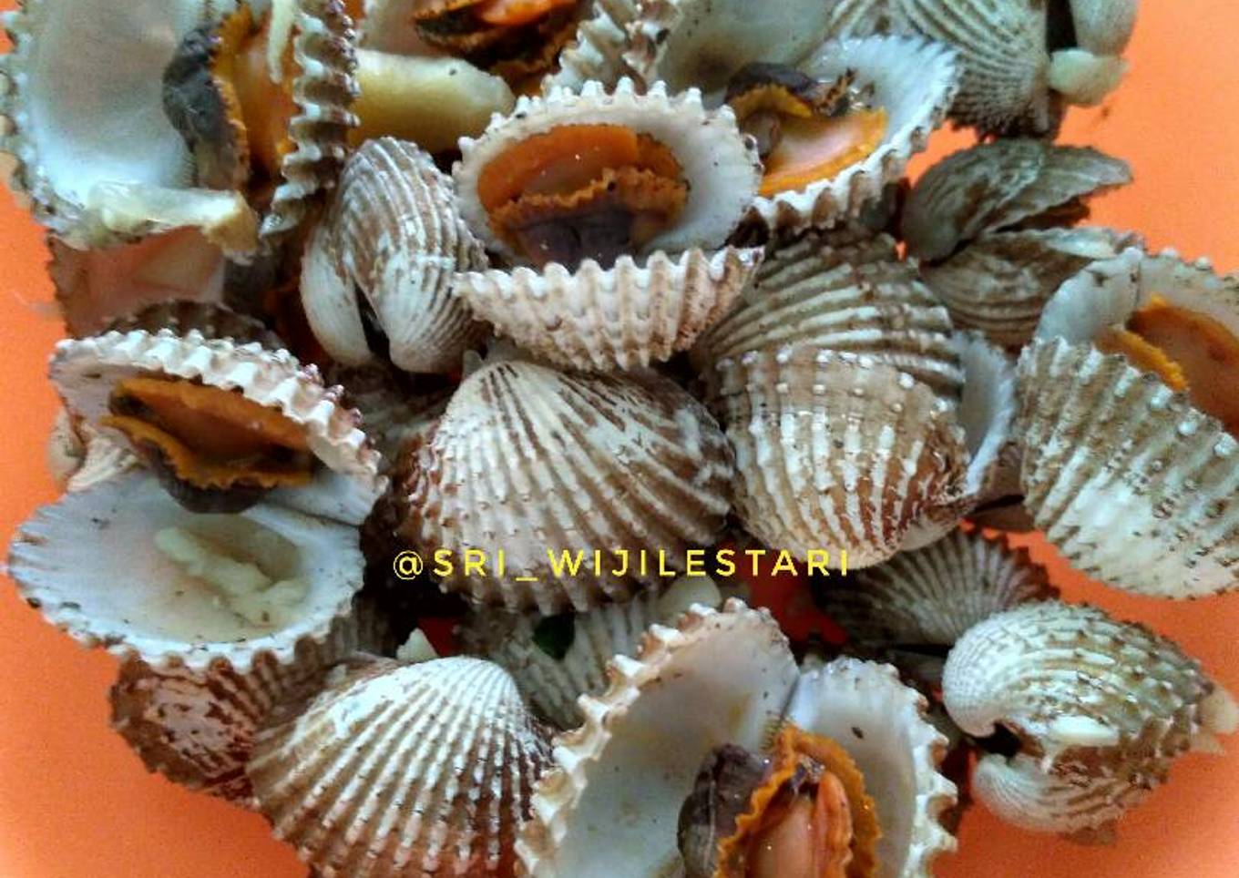 Kerang dara rebus