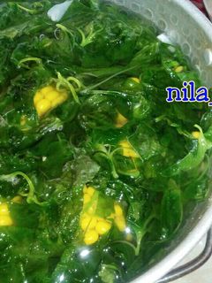 Foto resep Sayur Bayam Bening