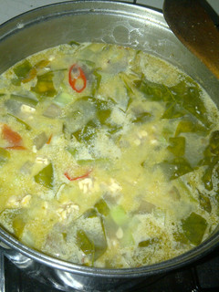 Foto resep SaYur LOdeh