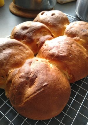 Une photo de Stollen abricot figue