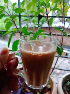 तुलसी की चाय(tulsi ki chai recipe in hindi) रेसिपी मुख्य फोटो