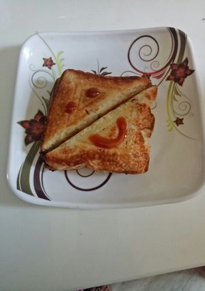 A picture of Toast.