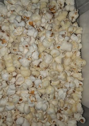 A picture of Popcorn.