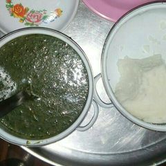 A picture of Ugali.
