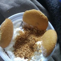 A picture of Vanilla Wafers and Ice cream.