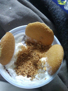 A picture of Vanilla Wafers and Ice cream.