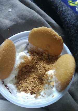 A picture of Vanilla Wafers and Ice cream.