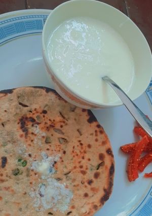 स्टफिंग हरा चना तंदूरी पराठा (Stuffing hara chana tandoori paratha recipe in Hindi) रेसिपी मुख्य फोटो