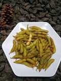 Edamame rebus