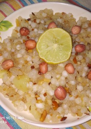 A picture of Sabudana khichdi.
