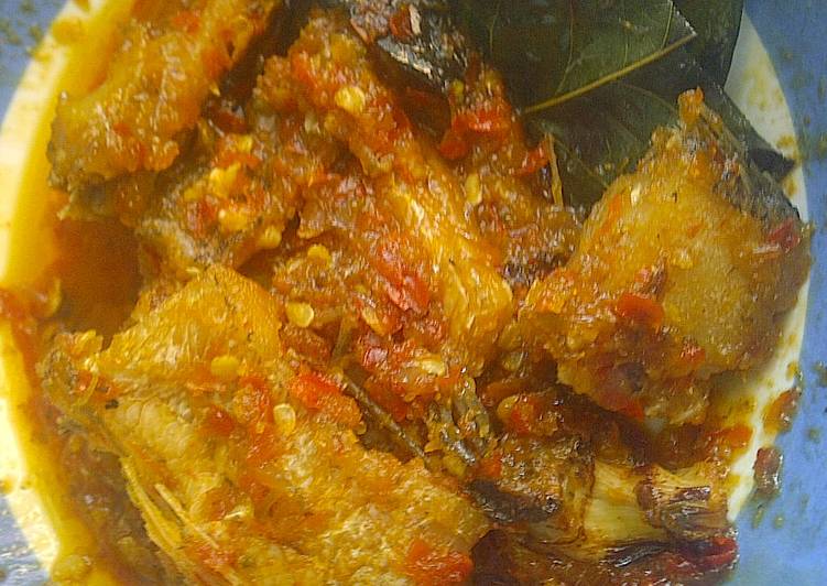Balado gabus