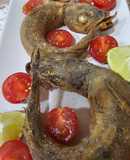 Pescadilla que se muerde la cola