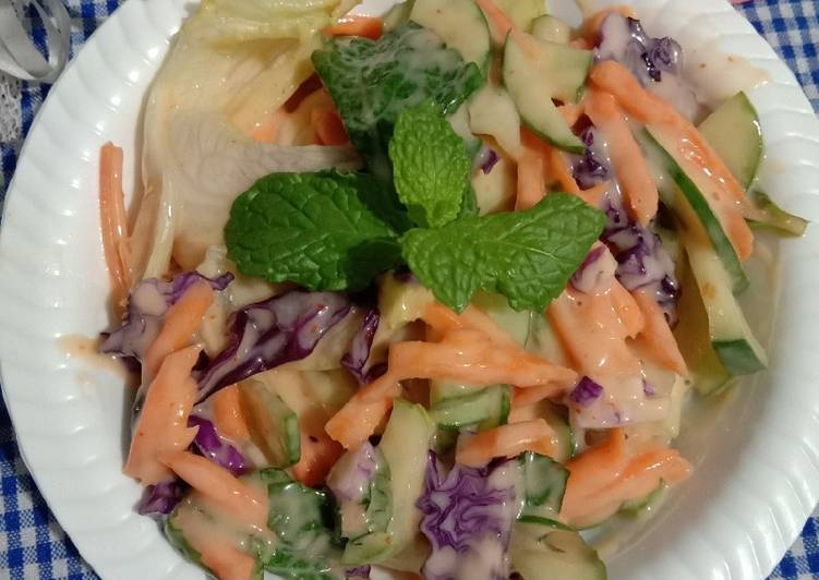 Panduan Menyiapkan Salad Sayur Lezat