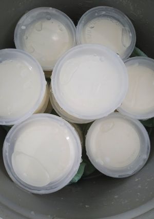 Hình của món Làm sữa chua bằng nồi cơm điện.