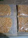 White Chaney boil to store