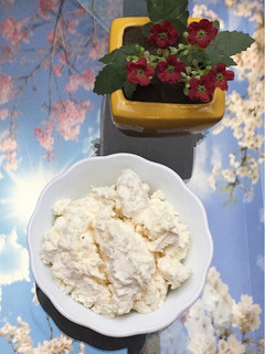 عکسی از دستور ماست چکیده