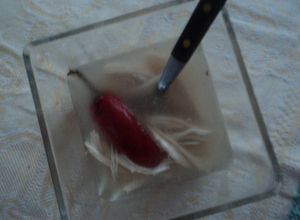 Una foto de Caldo de pollo con chile rojo jalapeño y pechuga desmenuzada