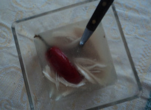 Una foto de Caldo de pollo con chile rojo jalapeño y pechuga desmenuzada