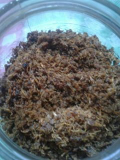 Foto resep Abon ayam