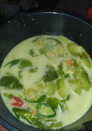 Foto resep Sayur Lodeh Terong