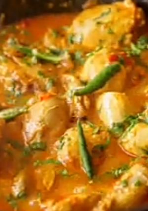 A picture of Chicken curry.