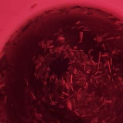 A picture of Keto green tea fat burner.