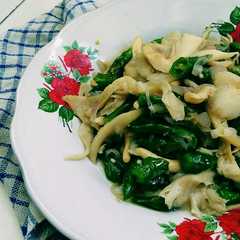รูปของ Jamur Tiram Lombok Ijo