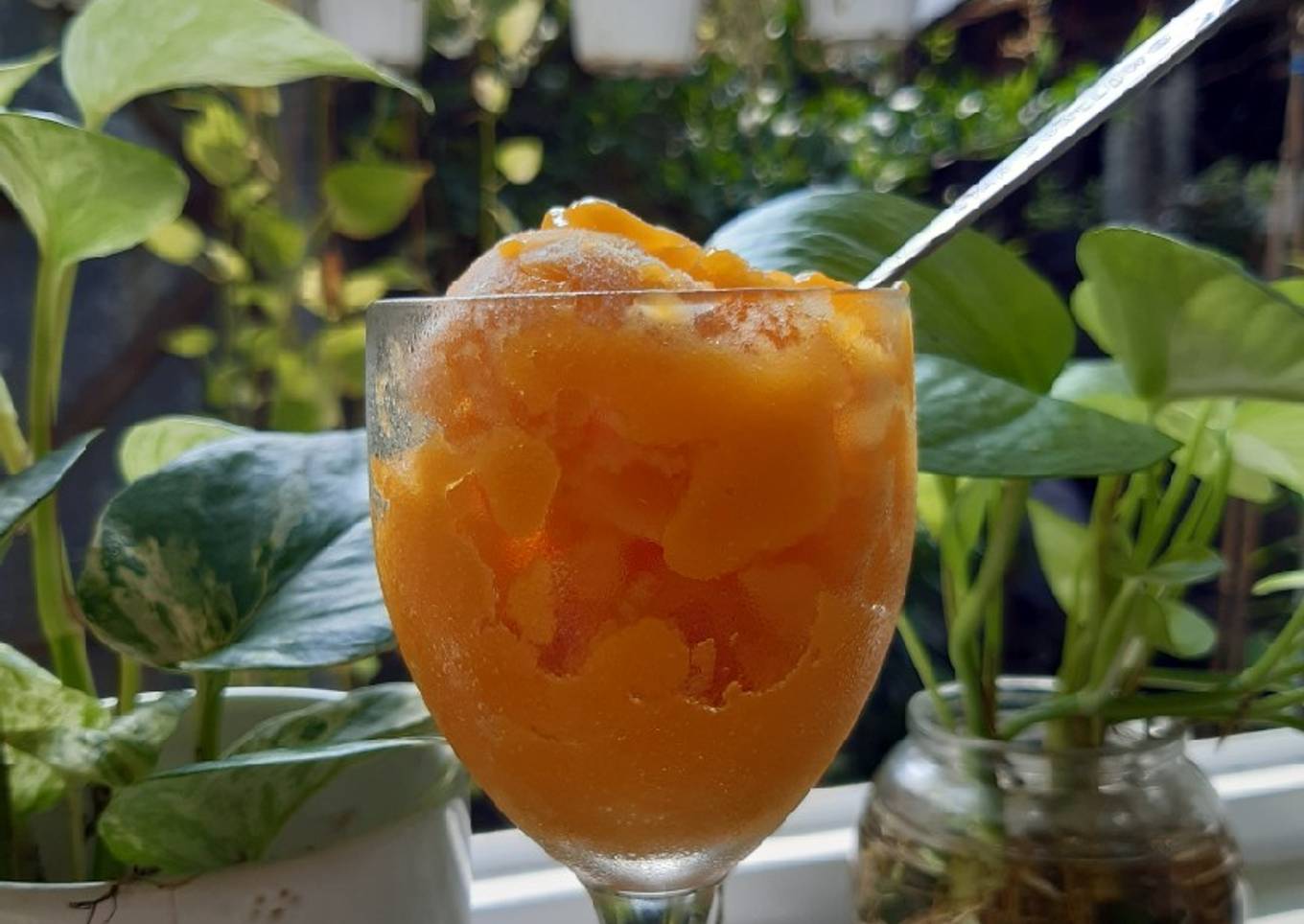 Sorbet Mangga #55