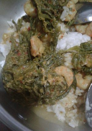 Foto resep Gulai pakis udang