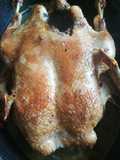 Libacomb🍗és egy kacsa🦆